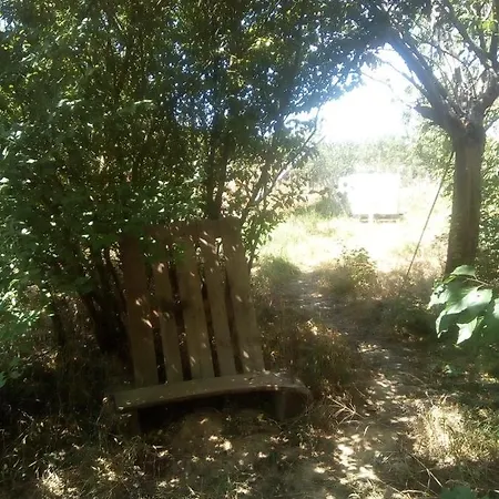 Tentes Bohemes Dans Un Ecolieu Avec Piscine Hors-sol * Peault