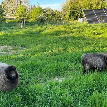 Tentes Bohemes Dans Un Ecolieu Avec Piscine Hors-sol *