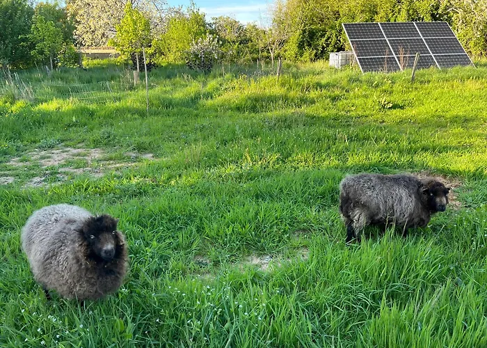 Tentes Bohemes Dans Un Ecolieu Avec Piscine Hors-sol *